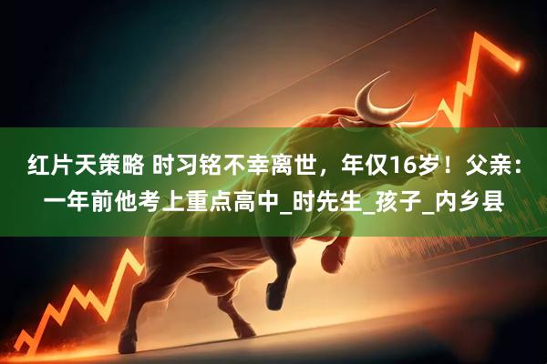 红片天策略 时习铭不幸离世，年仅16岁！父亲：一年前他考上重点高中_时先生_孩子_内乡县