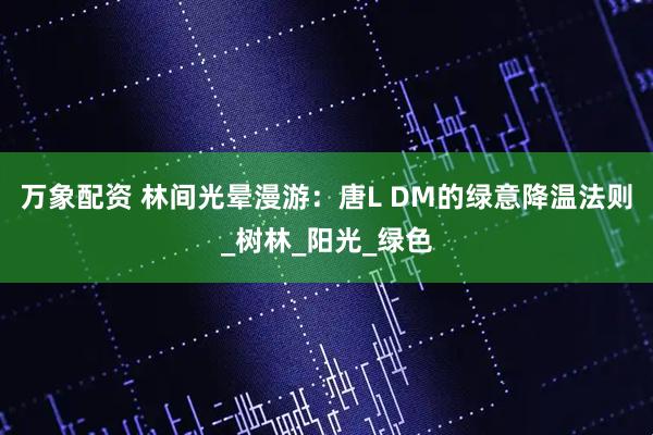 万象配资 林间光晕漫游：唐L DM的绿意降温法则_树林_阳光_绿色