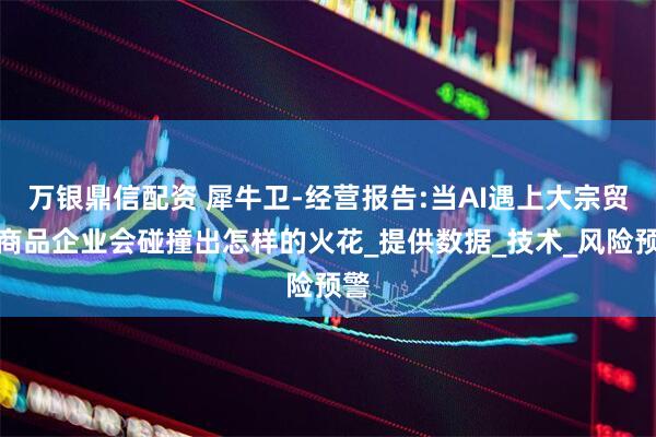 万银鼎信配资 犀牛卫-经营报告:当AI遇上大宗贸易商品企业会碰撞出怎样的火花_提供数据_技术_风险预警